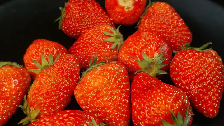 精品无码中文字幕不卡 精品值得关注的无码是