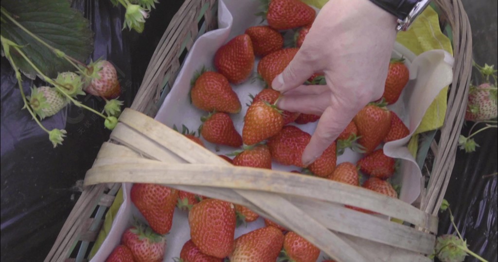 火影忍者小南同人