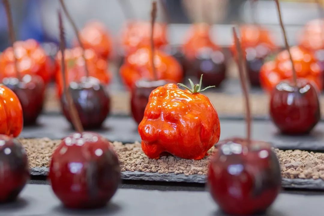 雨后小故事免费观看