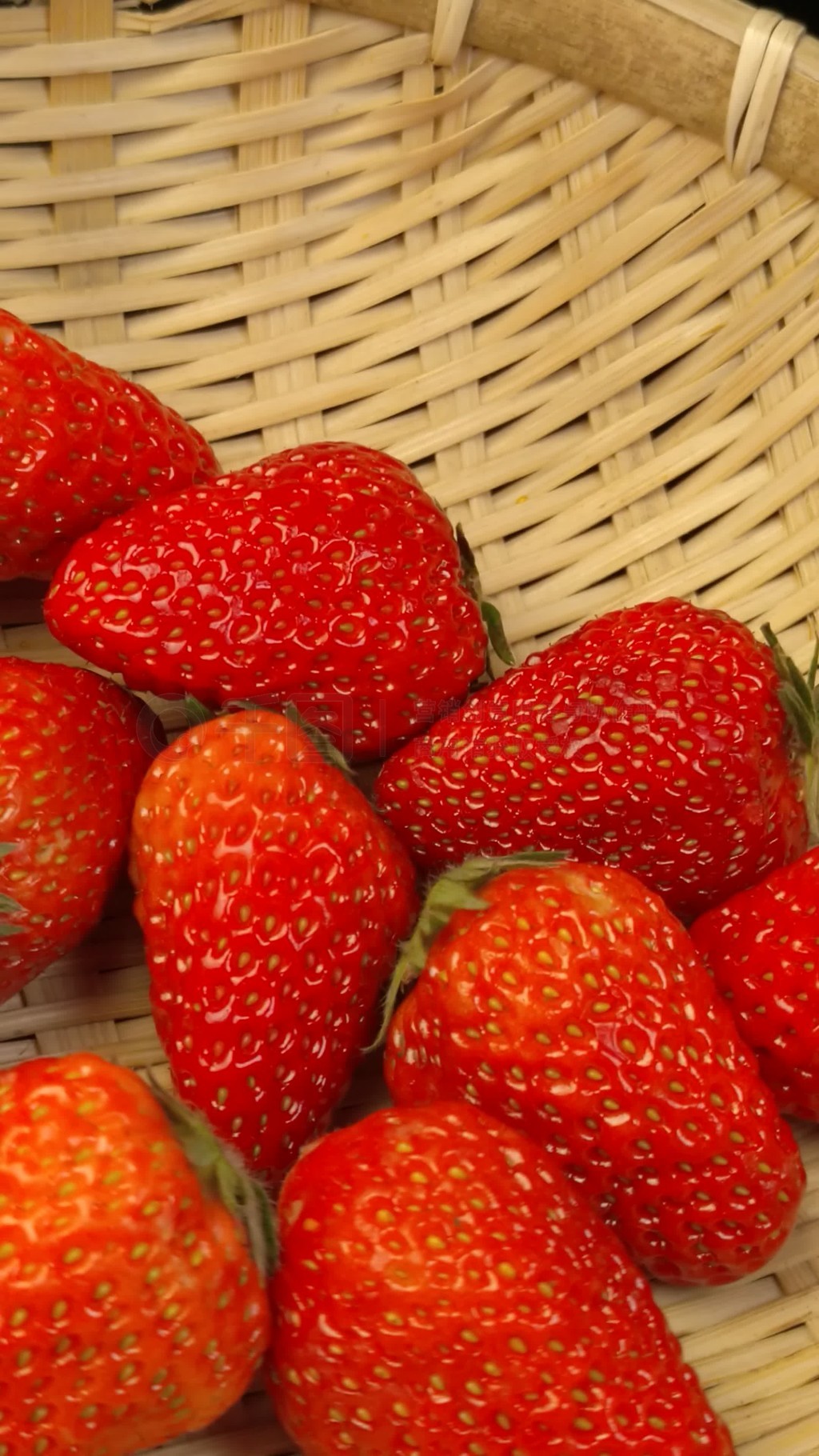 城市的里番 这类内容并非指成人内容