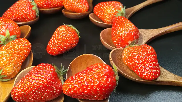 51吃瓜朝阳群众路线