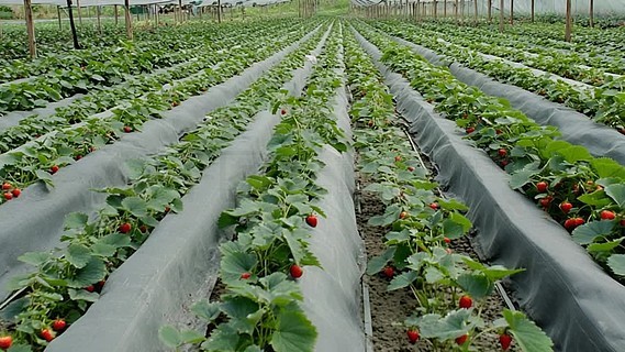 亚洲成片1卡2卡三卡4卡乱码 能缓解亚洲成片乱码