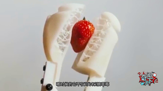 向理来 需进一步确认具体作品