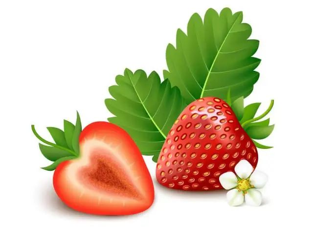 午夜精品小视频网站在线观看