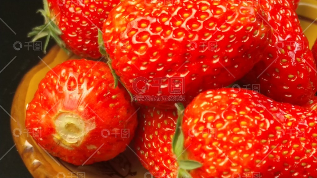 废土猎人gtv网页版