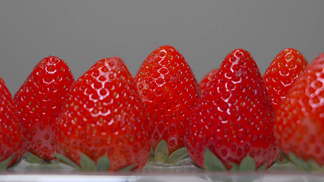 肉肉很多的糙汉文 肉肉感情表达原始而浓烈