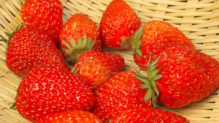 小敏儿冉冉学姐 与极为学术化的教育账号相比