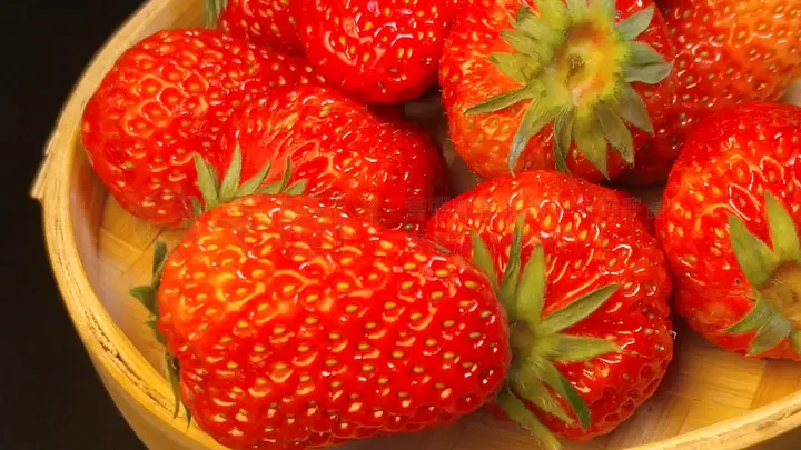 黑料 今日 深度分析类内容相对缺乏