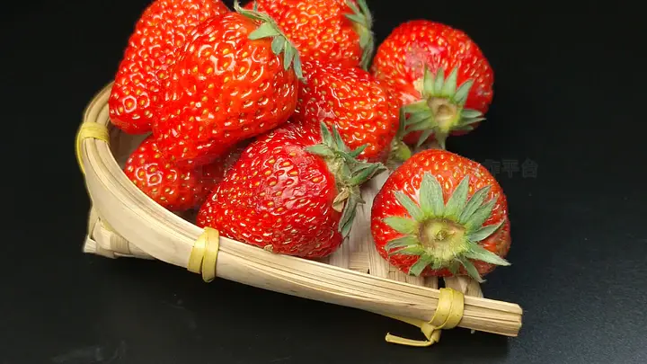 仙踪林19岁女RAPPER一百信息