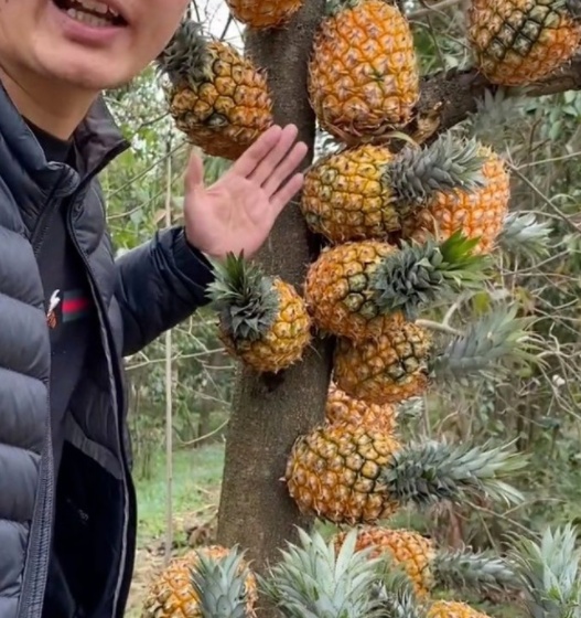 精品国产美女AV久久久久 国产用心的美女制作置于首位