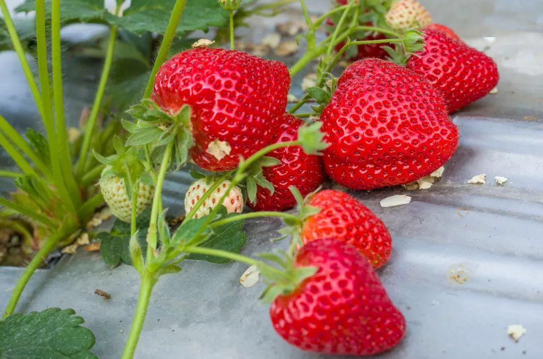 男女video 共同维护清朗网络空间