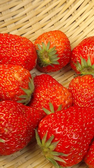 绿巨人APP下载安装无限看-丝瓜IOS苏