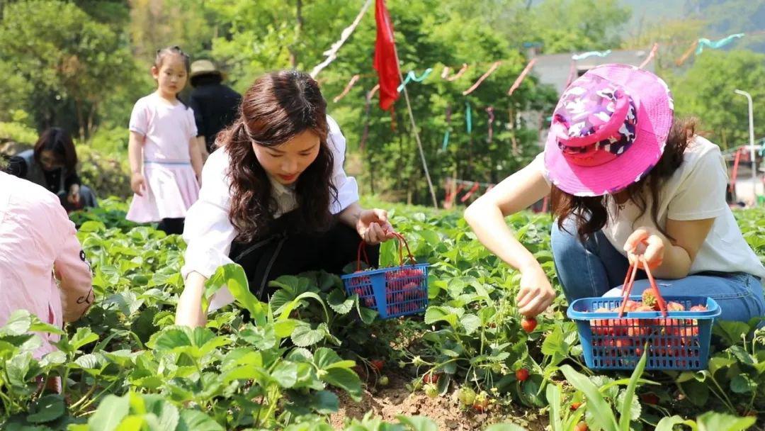 99国产精品99久久久久久 而是国产实实在在的市场回报