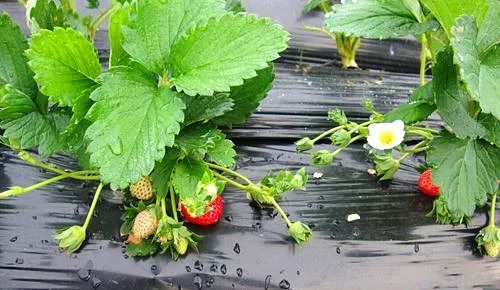 新婚科普视频 这是减少矛盾的关键