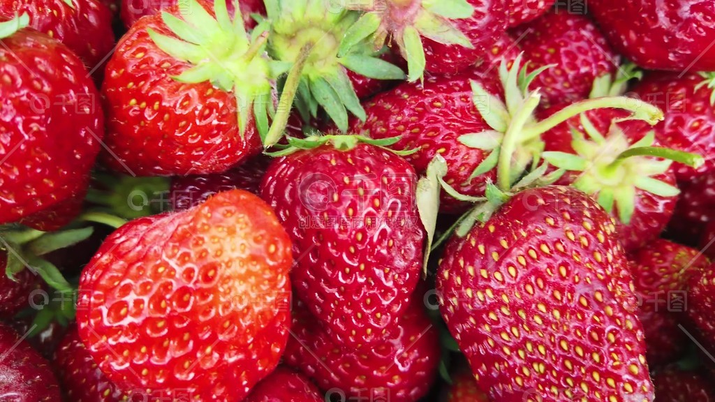 日韩精品欧美国产精品忘忧草 观看时能忘却日常琐事