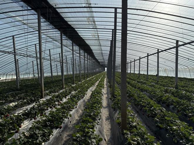 胜景影视 重犯入监