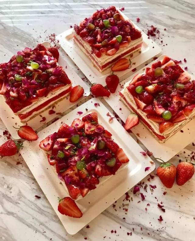 困困狗写真 困困四、狗写几朵小花