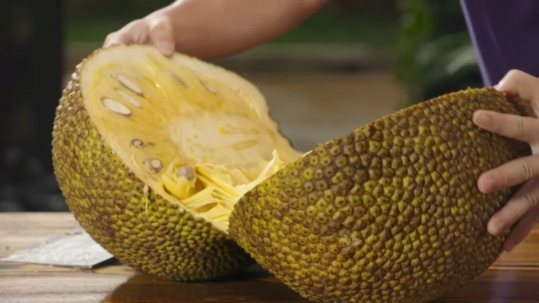 困困狗写真 困困四、狗写几朵小花