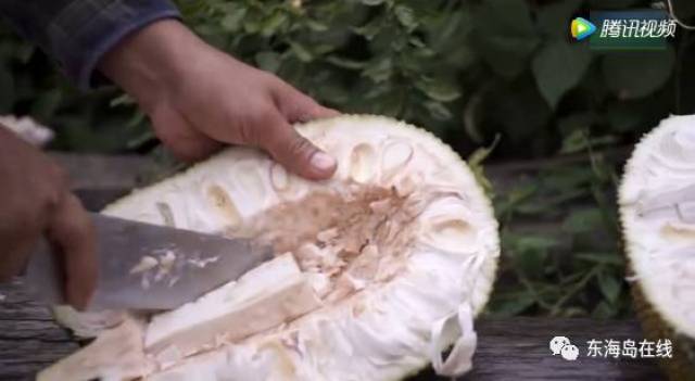 飘雪在线手机高清观看视频