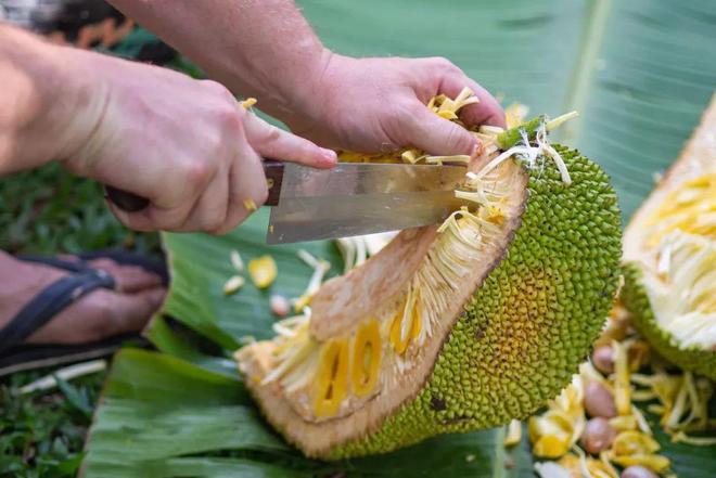啄木鸟系列 工作中的女孩
