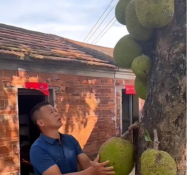 丝瓜视频 丝瓜视频设备中毒等隐患