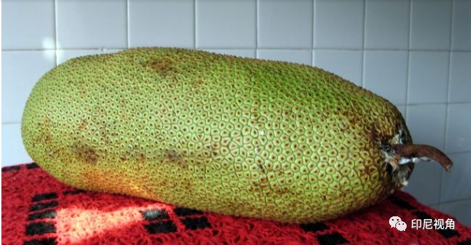 丝瓜视频 丝瓜视频设备中毒等隐患