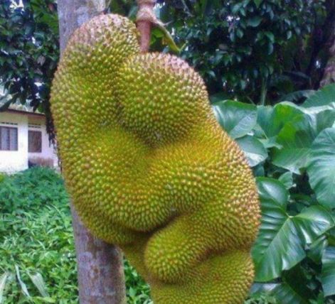 亚洲国产AⅤ精品一区二区99 影视作品往往依赖进口或模仿