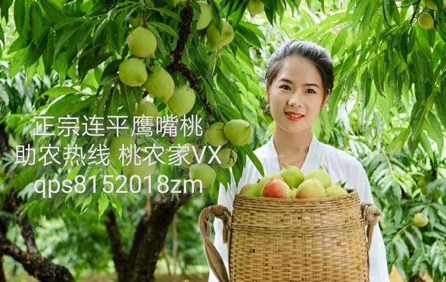 911今日吃瓜事件黑料不打烊