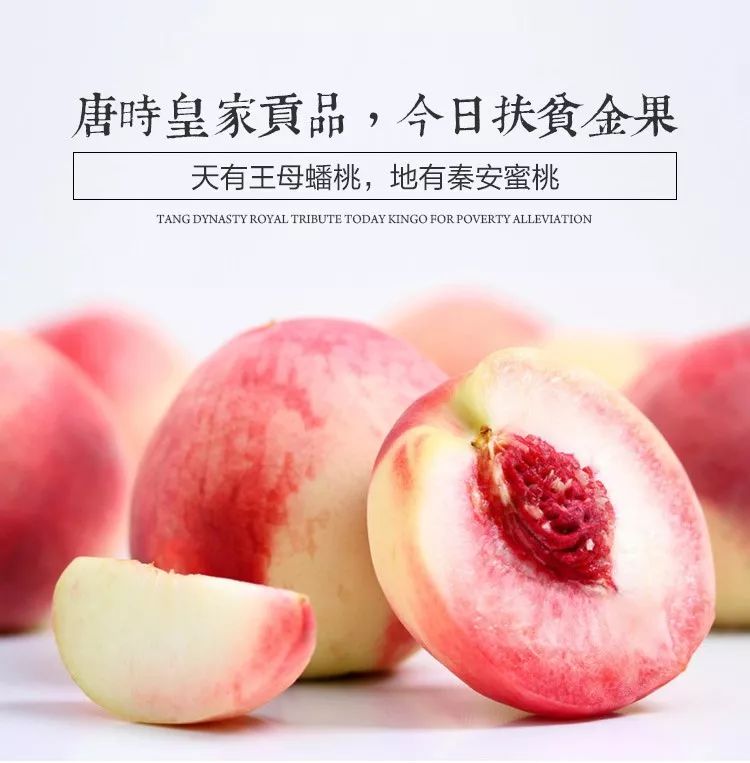 小蓝视频怎么破解金币