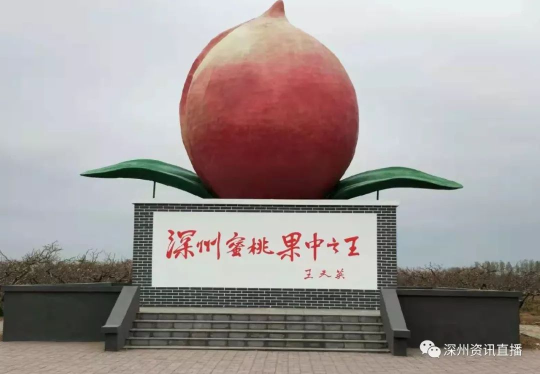 俄罗斯电影学院啄木鸟