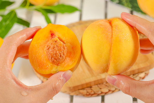 违章停车被拖走了怎么处罚