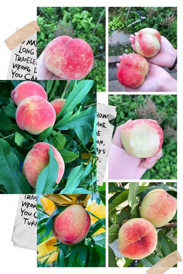 囯产免费一区二区三区 国产免费三区放软件教程