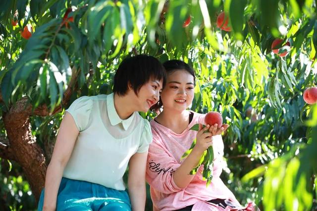 精品国产欧美日韩在线不卡