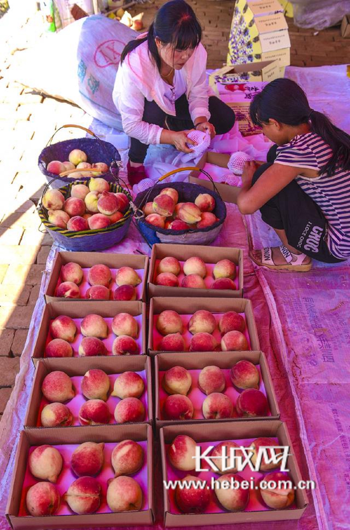 黑料吃瓜网91不打烊