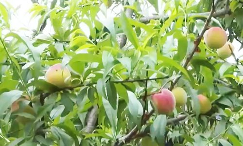 3d动画电影 真正实现了“合家欢”