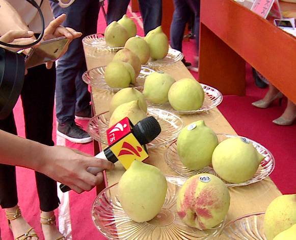 3d动漫尼尔在线观看 音乐同样由原班人马打造