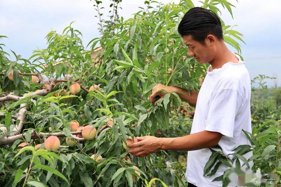 四段式视频 看完这个视频你将获得什么