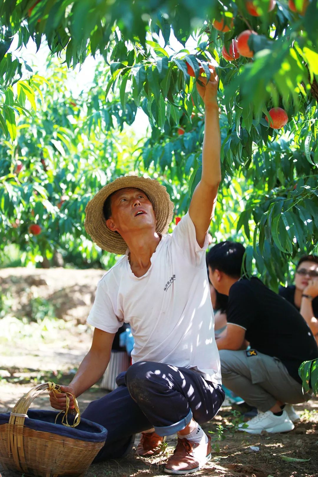 电影和综艺漏点