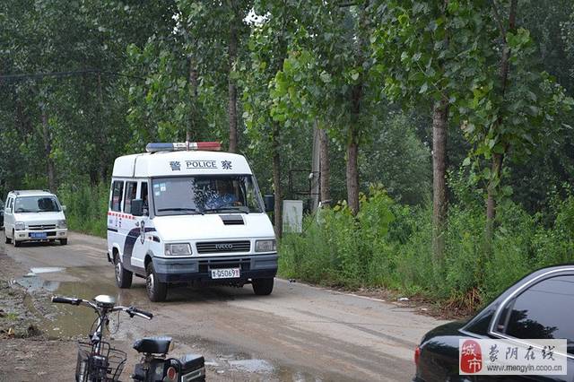 小 马 拉 大 车 +幼 女 小马如果你有其他问题