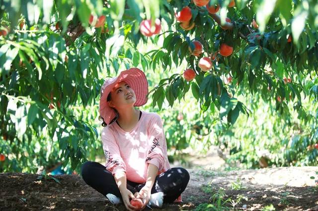 38.88解锁450部在线观看