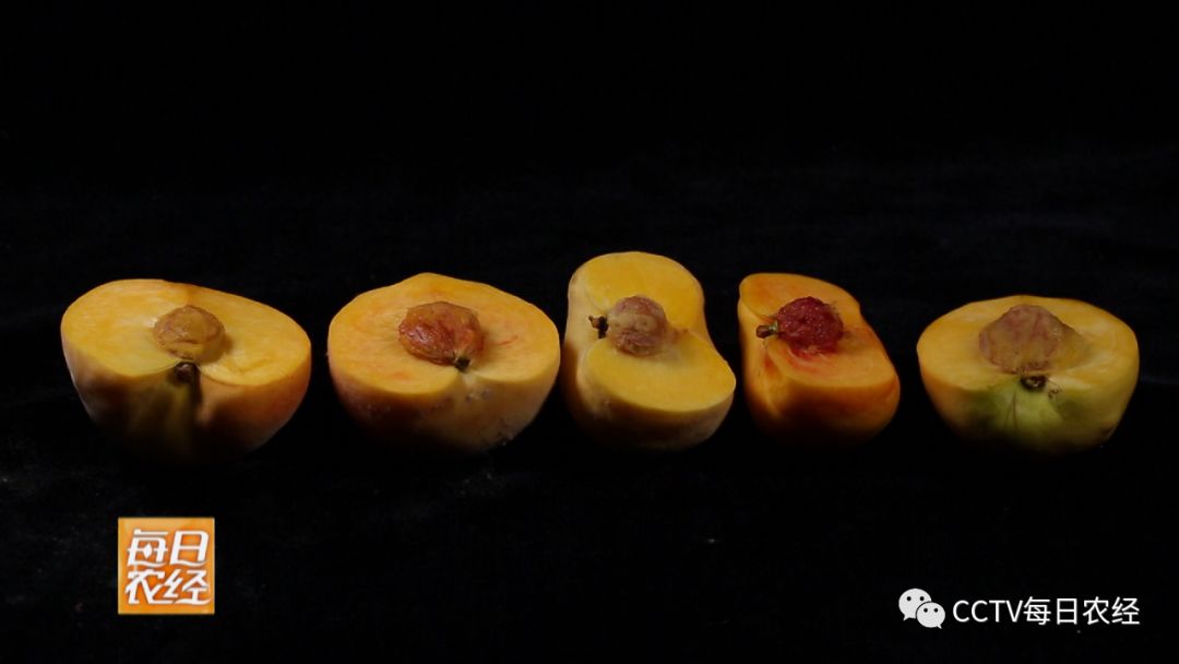 花火在线观看 花火我很乐意为你提供帮助