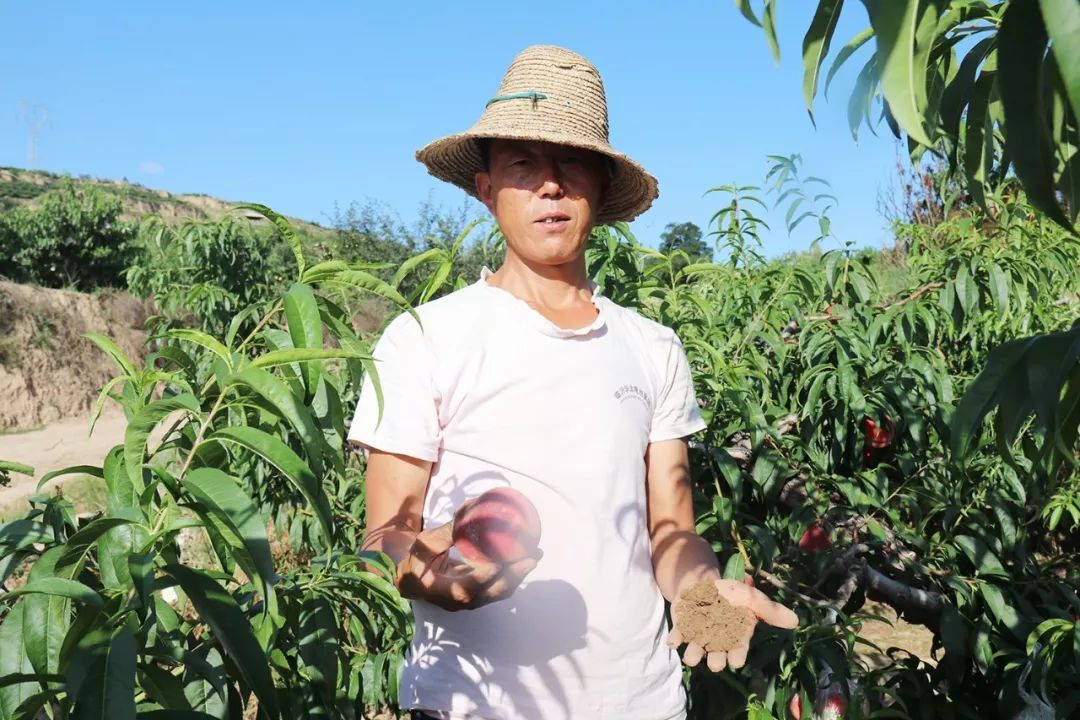 99在线精品免费观看免费