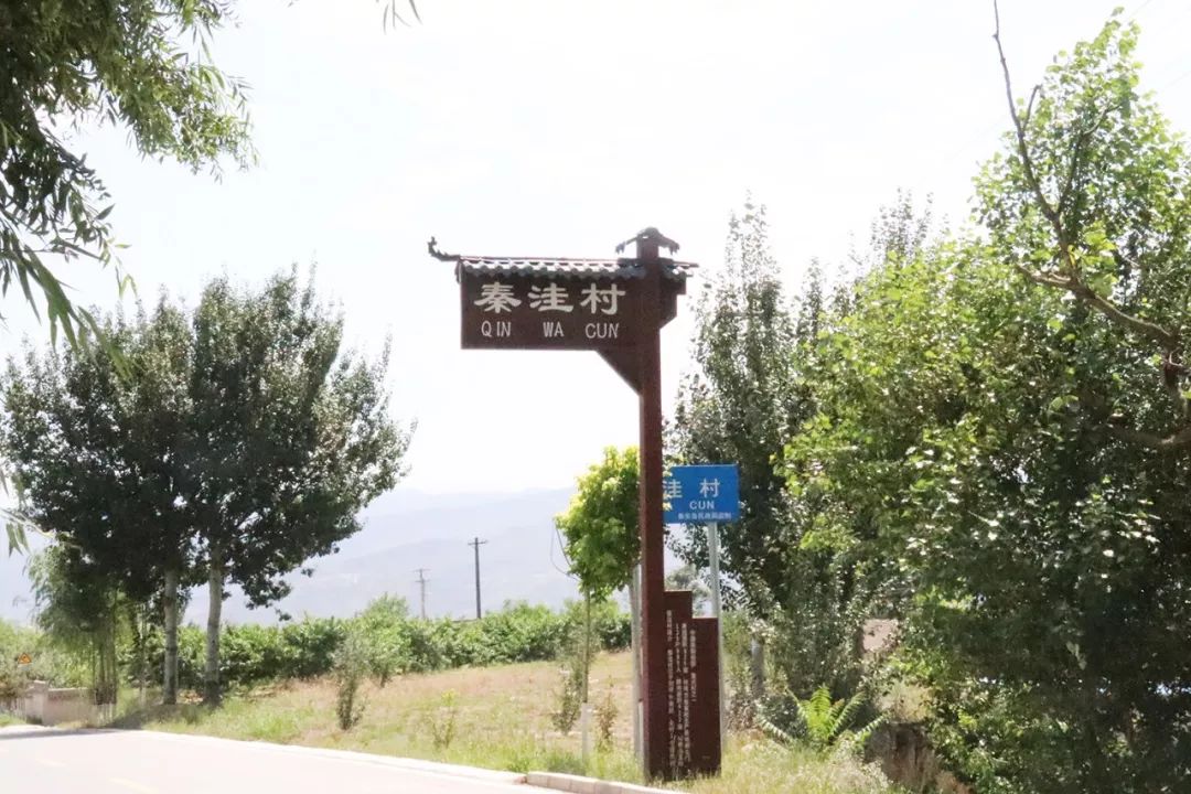 短剧色 高饱和、电光蓝或土豪金