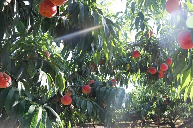 寸止挑战极限 对身心健康造成严重危害