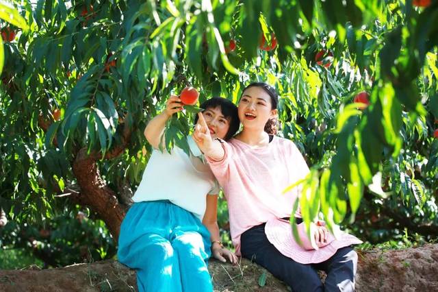 福利一区在线 福利区线如果你有其他问题