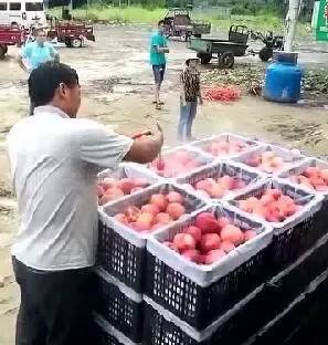 番号鸽新网址男同动漫在线 鸽新我非常乐意为你提供帮助