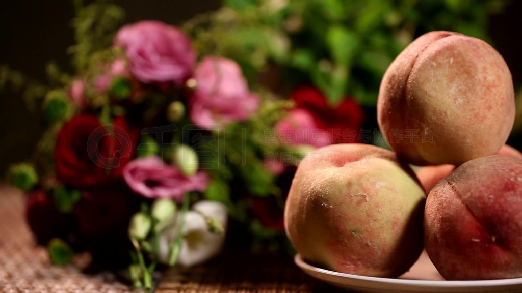 黄sei动漫 动漫文化和社会多个层面