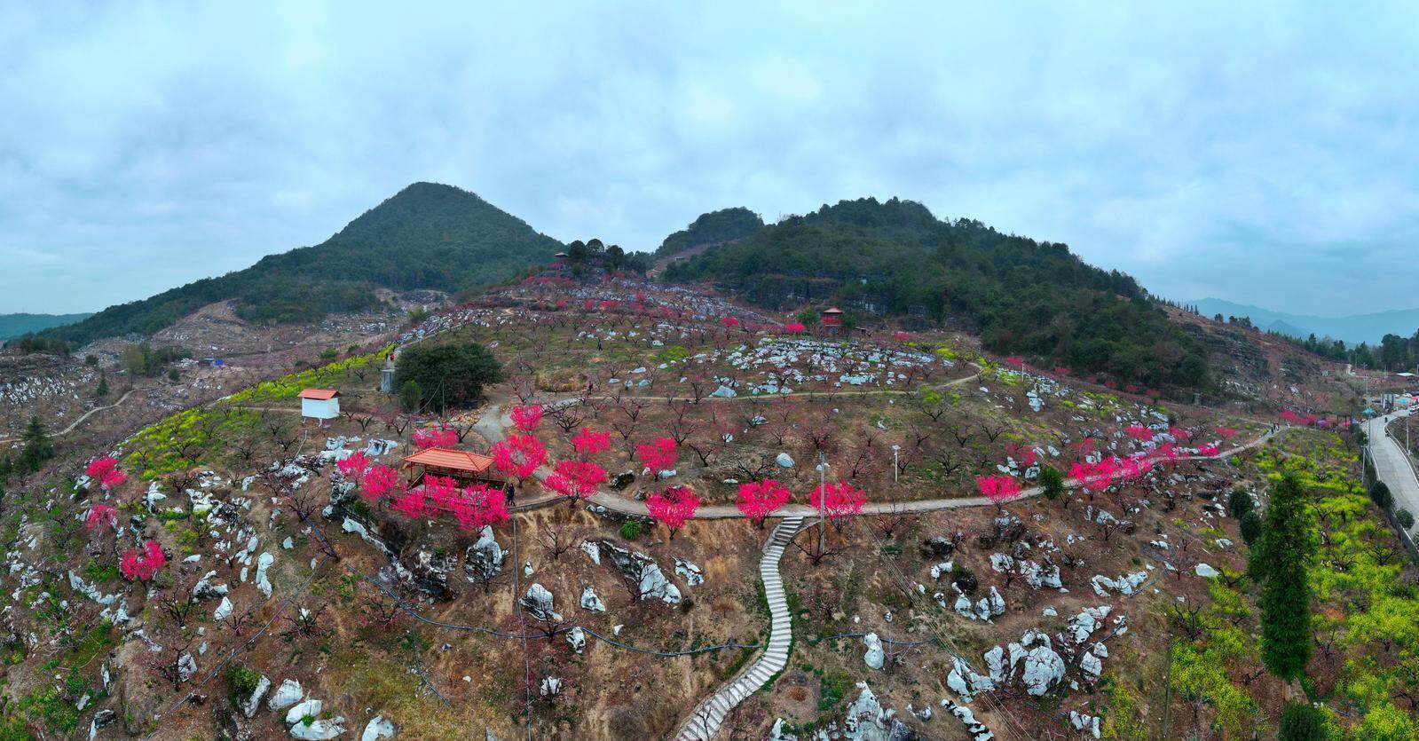 北条麻妃国产九九九精品视频