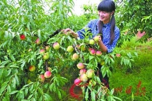 亚洲欧美成人精品视频