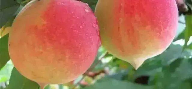 里番电视 番电视番电视番电视对不起